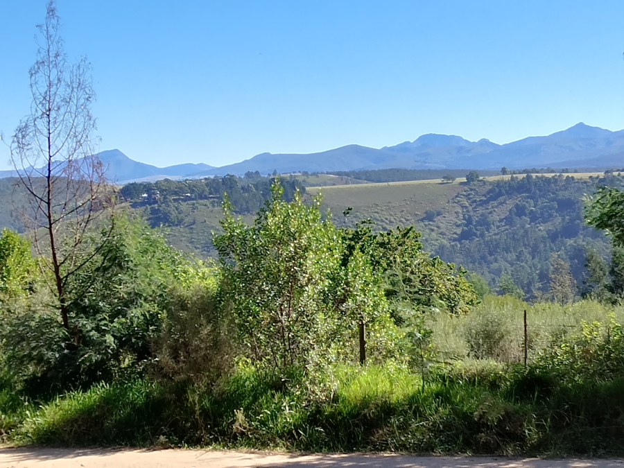 12 Bedroom Property for Sale in Friemersheim Western Cape